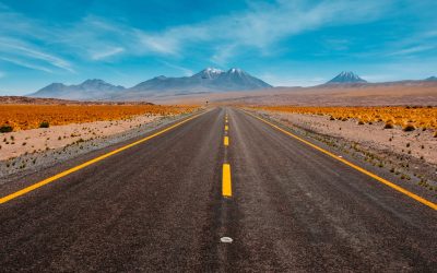 Digital Horizons and looking forward to the summer ahead