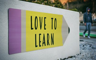 New Courses Launched (Finally!)