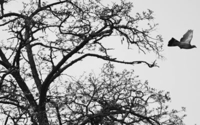 Our final sessions of the year